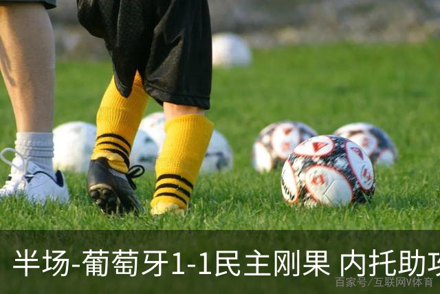 半场-葡萄牙1-1民主刚果 内托助攻若昂·内维斯破门维萨补时扳平
